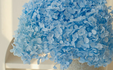 preserved hydrangea sky blue
