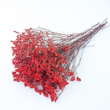 red limonium