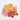 dried fruit