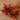dried rose hips, natural red, 4 stems, 40cm