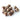 acorn