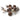 big dried eucalyptus fruit