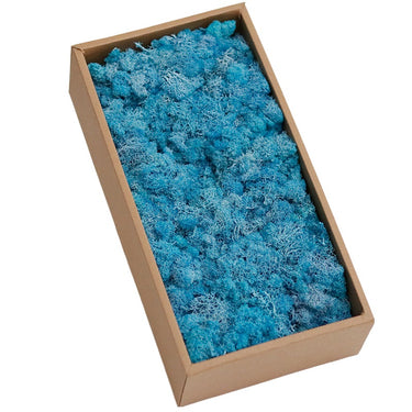 blue preserved moss