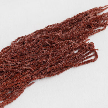 brown amaranthus