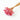 chamomile daisy pink