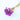 chamomile daisy purple