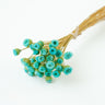 chamomile daisy tiffany blue