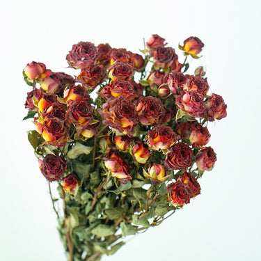 chocolate dried roses