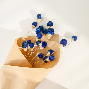 Gomphrena Flower, Preserved, Dimond Blue