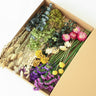 dried flower stems