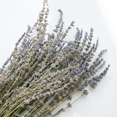 dried lavender