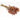 dried rosehip