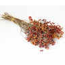 dried rosehip