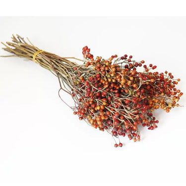 dried rosehip