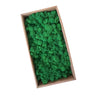 emerald green preserved moss