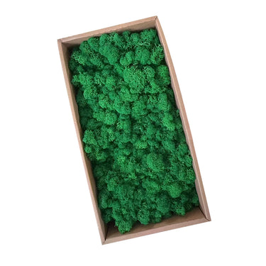 emerald green preserved moss