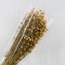 flax (linum) dried