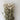 gomphrena flower, dried, white