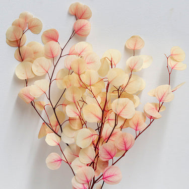 Eucalyptus Cinerea, Gradient White & Pink , Preserved