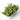 preserved hydrangea petal, green, 8g
