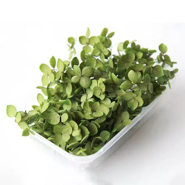 preserved hydrangea petal, green, 8g