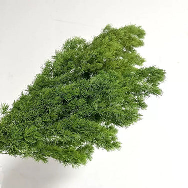 green ming asparagus