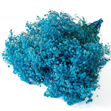 gypsophila sky blue
