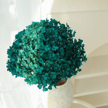 hydrangea emerald green