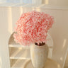 hydrangea pink