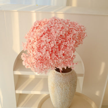 hydrangea pink