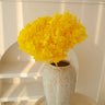 hydrangea yellow
