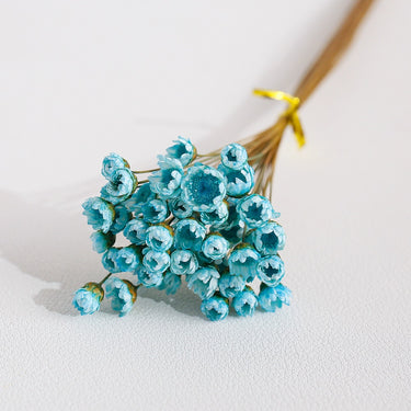 light blue glixia flower