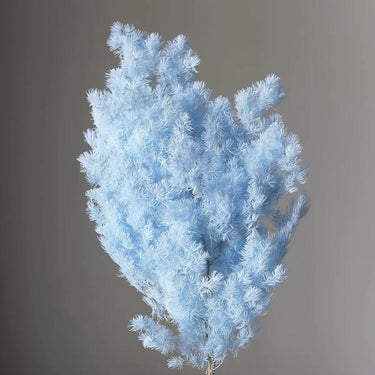 light blue ming asparagus