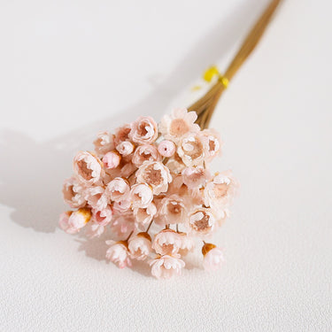 light pink glixia flower