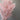 light pink ming asparagus