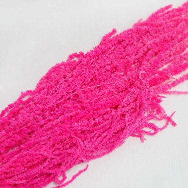 magenta amaranthus
