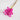 magenta glixia flower