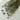 natural dried thistle