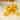 dried craspedia globosa benth, yellow bunch, 20 stems