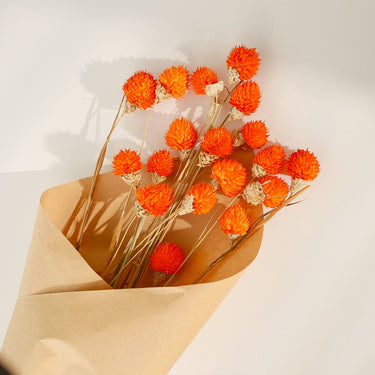 Gomphrena Flower, Preserved, Orange