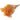 orange limonium
