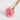 pink glixia flower
