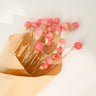 Gomphrena Flower, Preserved, Pink
