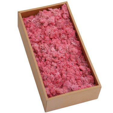 pink preserved moss