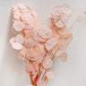 Eucalyptus Cinerea, Pink , Preserved