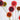 preserved drumstick scabiosa