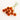 preserved drumstick scabiosa dark orange