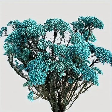 rice flower cream white, preserved, 1 bunch