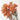 rice flower cream white, preserved, 1 bunch
