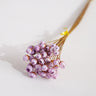 purple glixia flower